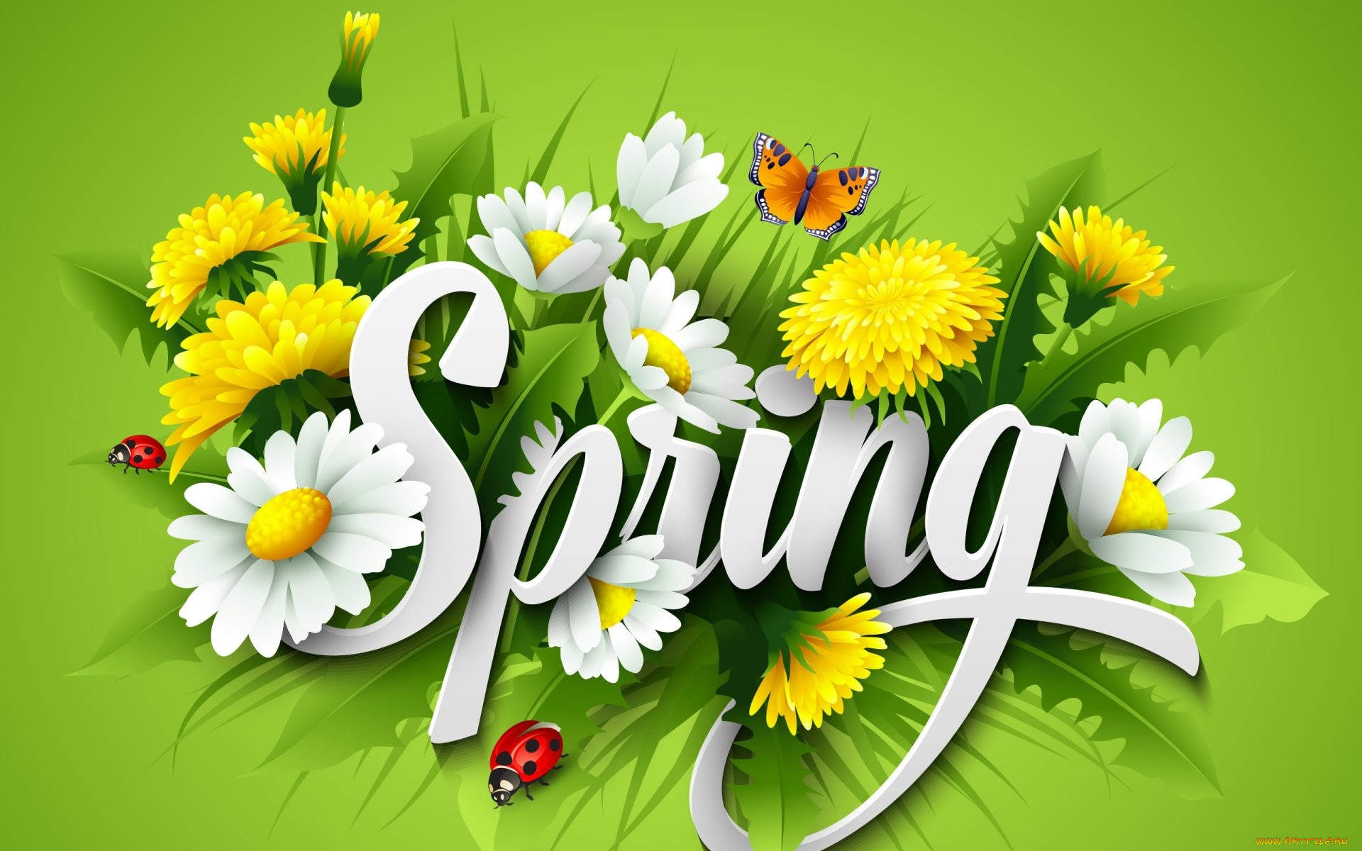  ,  , flowers, , , , 